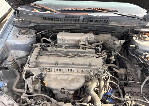 2005 Kia Spectra Ex/Lx/Sx z USA, uszkodzony, nr VIN KNAFE121955183767